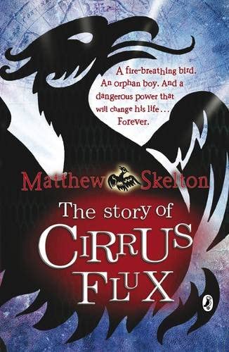 Story Of Cirrus Flux,The