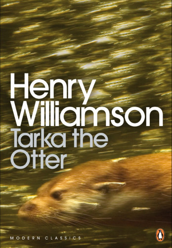 Tarka the otter