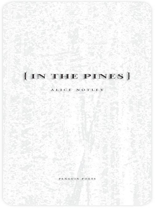 In the Pines