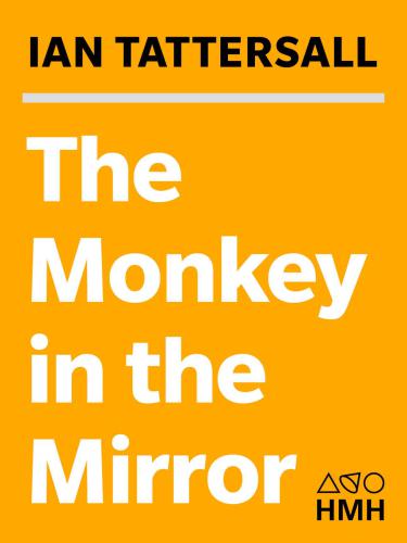 The Monkey in the Mirror