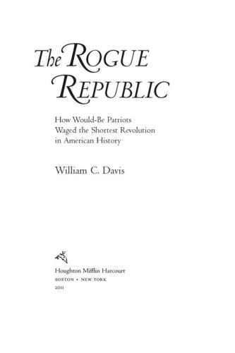 The Rogue Republic