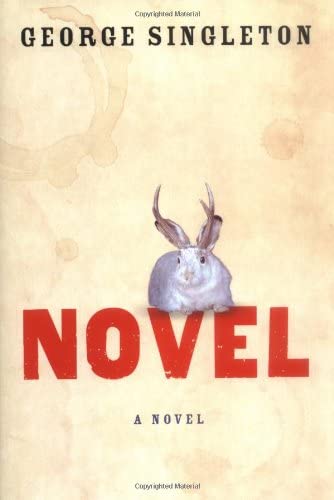 Novel