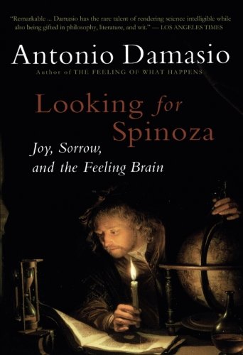 Looking for Spinoza