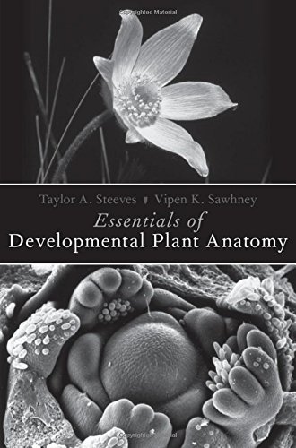 Essentials of Developmental Plant Anatomy