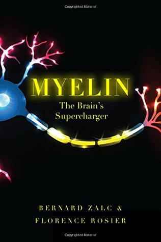 Myelin