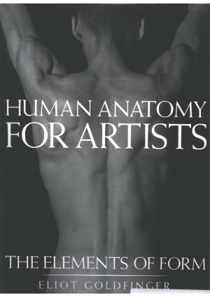 Human Anatomy for Artists