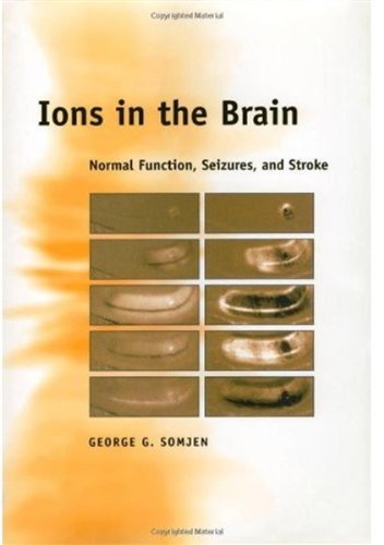 Ions in the Brain