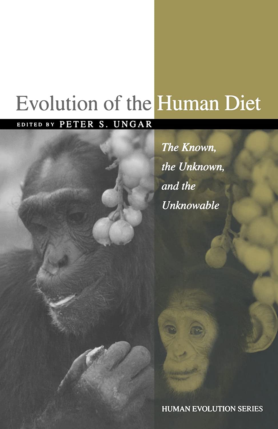 Evolution of the Human Diet