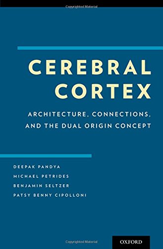 Cerebral Cortex