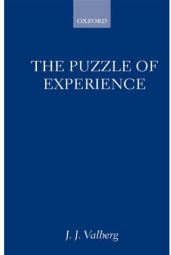 The Puzzle of Experience