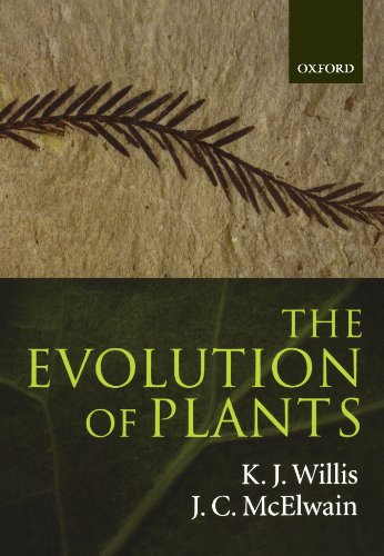 The Evolution of Plants