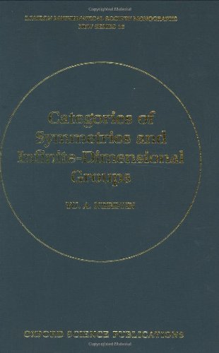 Categories of Symmetries and Infinite-Dimensional Groups