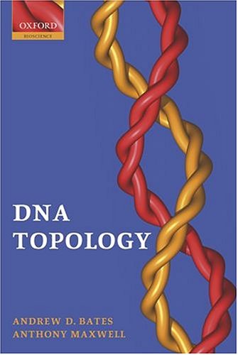 DNA Topology