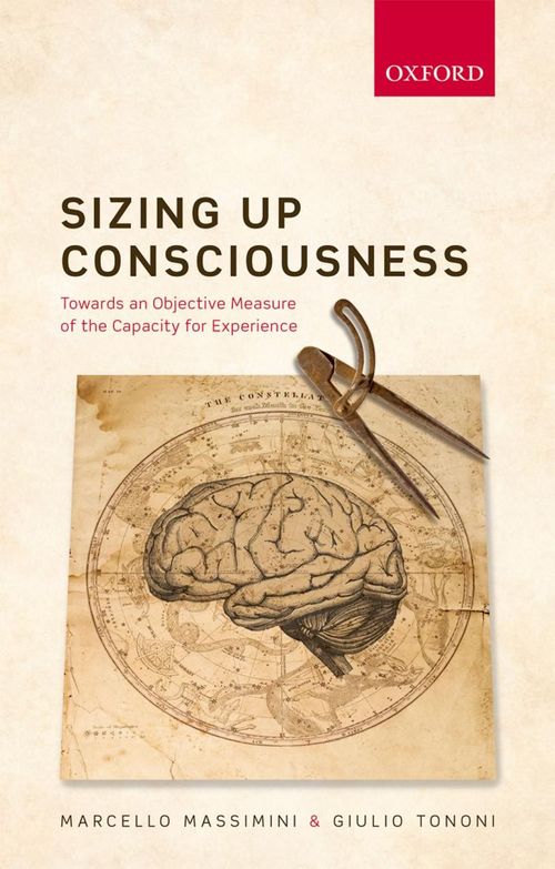 Sizing Up Consciousness