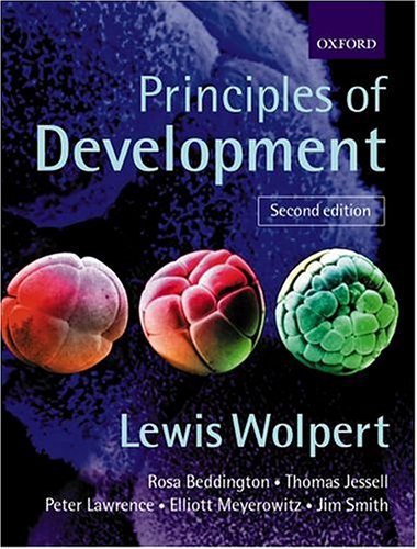 Principles Of Development