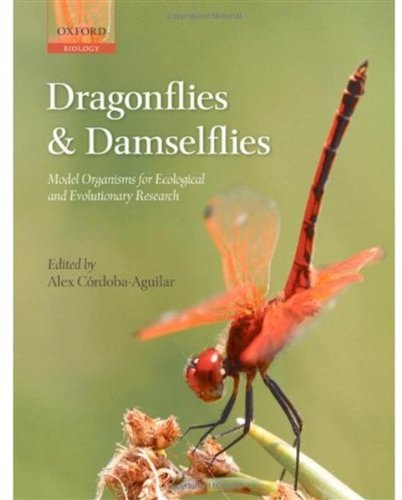 Dragonflies and Damselflies