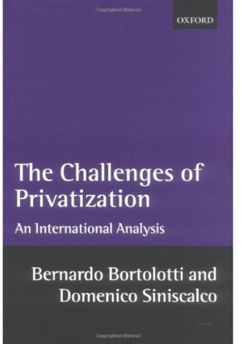 The Problems of Privatization