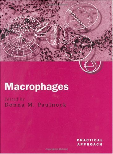 Macrophage