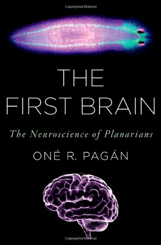 The First Brain