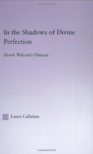 In the Shadows of Divine Perfection