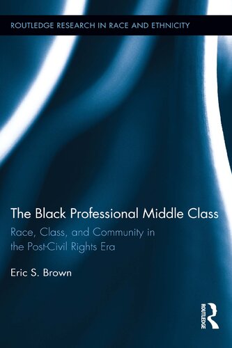 The Black professional middle class : race, class, and community in the post-civil rights era