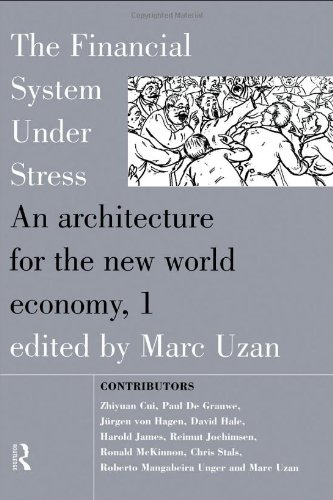 The Financial System Under Stress: An Architecture for the New World Economy