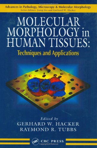 Molecular Morphology in Human Tissues