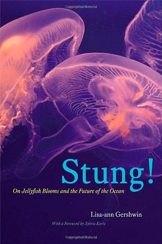 Stung!