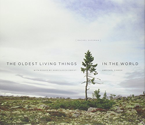 The Oldest Living Things in the World