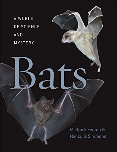 Bats