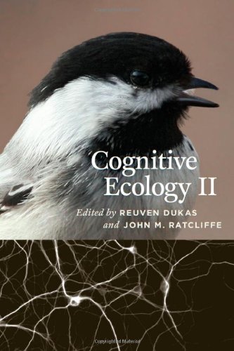 Cognitive Ecology II