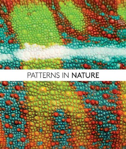 Patterns in Nature