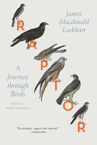 Raptor : A Journey through Birds