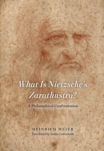 What is Nietzsche's Zarathustra? : a philosophical confrontation