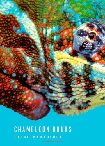Chameleon Hours (Phoenix Poets)