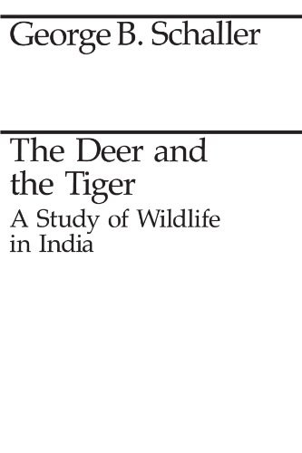 The Deer and the Tiger