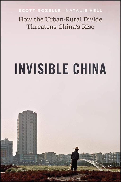 Invisible China: How the Urban-Rural Divide Threatens China&rsquo;s Rise