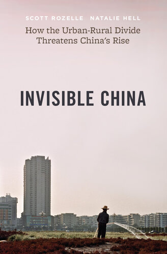 Invisible China
