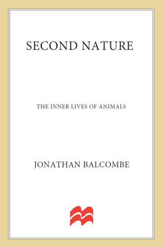 Second Nature