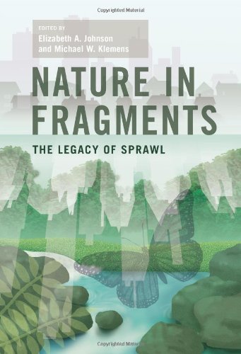 Nature in Fragments