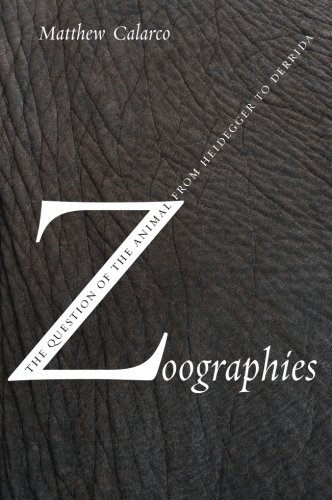 Zoographies