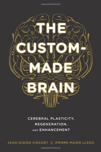 The Custom-Made Brain