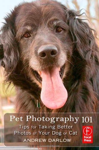 Pet Photography 101