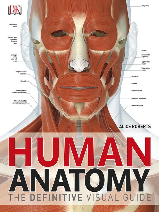 Human Anatomy