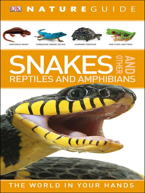 Nature Guide Snakes and Other Reptiles and Amphibians