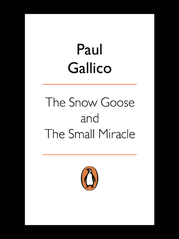 The Snow Goose and the Small Miracle