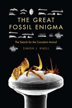 The Great Fossil Enigma