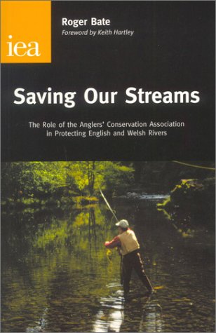 Saving Our Streams