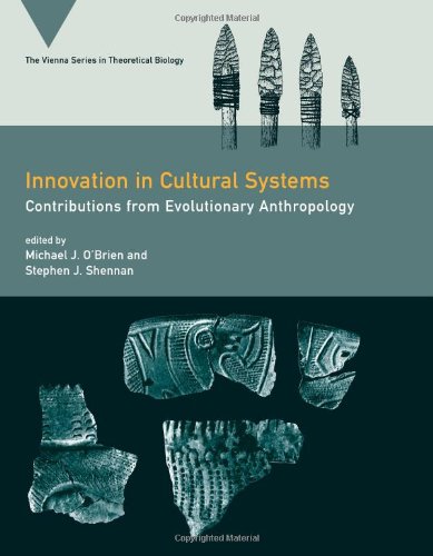 Innovation in Cultural Systems