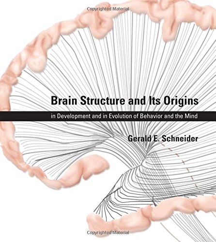 Brain Structure and Its Origins